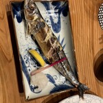 瀬戸内しまなみ活魚 いよ水産 - 