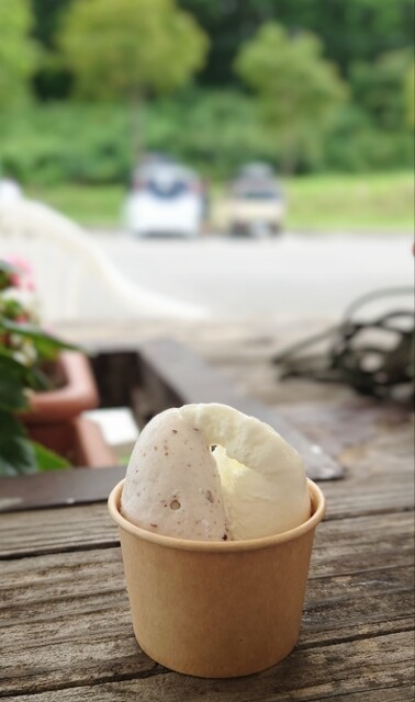 森のアイス工房 - 北塩原村その他（ジェラート・アイスクリーム）の写真