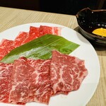 肉の割烹 田村 - 『９種類焼肉』