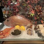 表参道うかい亭 - 