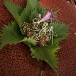 鉄板dining香音 - 