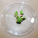 nôtori - ヒメマス