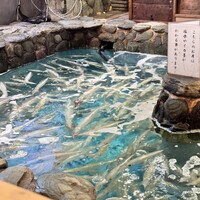 河太郎 中洲本店 - 