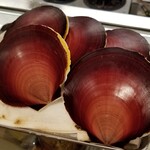 出羽鮨 - ツキヒガイ。