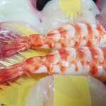 出羽鮨 - 蒸し・活車エビ。