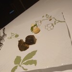 ヴォーロ・コズィ - 