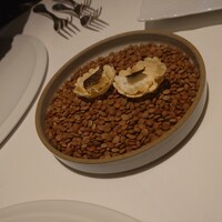 ヴォーロ・コズィ - 