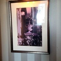 Benoit Alain Ducasse - 