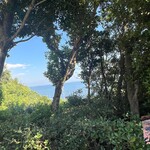 フレベールラデュ - ❀テラス席～の眺め✨.ﾟ･*..☆.｡.:*✨.☆.｡.:.+*:ﾟ+｡✨.ﾟ･*..☆.｡.:*✨
      
      海大好き٩(๑❛ᴗ❛๑)♡♡♡۶最高✧︎*。（⸝⸝✪ ᗜ ✪⸝⸝）✧︎*。