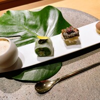 シブ ニシナカス - 