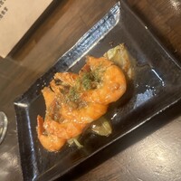 アカミヤコウシ - 