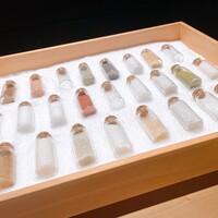 シブ ニシナカス - 