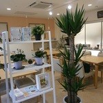 Machiyoka Kafe - 