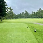 軽井沢プリンスホテル - コース