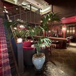 THE CONDER HOUSE - 店内風景