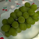 里見農園 - 初回に頂いたシャインマスカット