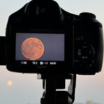 焼きもの家 慶 - 