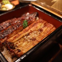 新宿うな鐵 はなれ -  新宿うな鐵 はなれ -