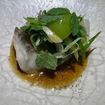 隼 - 掛け合わせ　白甘鯛　藤本魚師　シャインマスカット　九条ネギ　ナンプラー