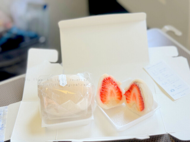 Kakuozan Fruits Daifuku Benzaiten Chubu Kokusai Kuko Ten photo 4