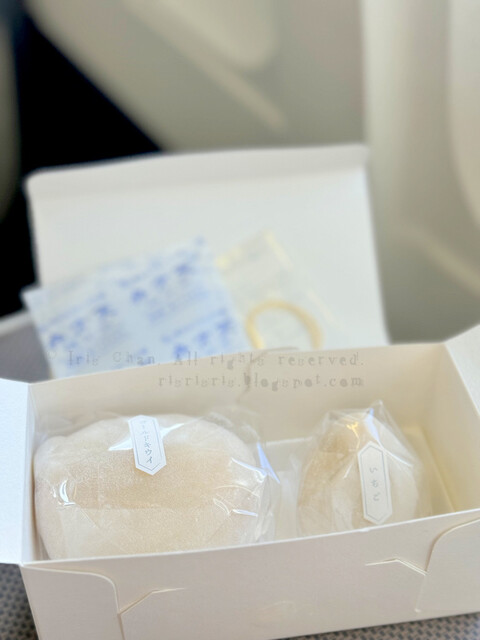 Kakuozan Fruits Daifuku Benzaiten Chubu Kokusai Kuko Ten photo 3