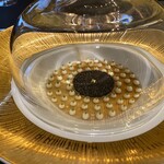 ガストロノミー ジョエル・ロブション - 