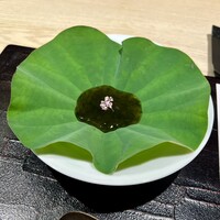 すし 零 - 先付け（玉子豆腐の青さ冷製餡）