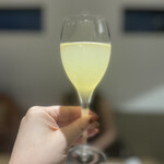 GRAPEREPUBLICINC. VINERIA SALONE - 