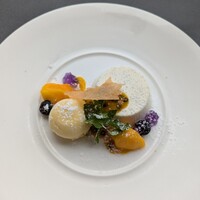 鉄板焼き 銀座 ポルトファーロ 本店 - パンナコッタ