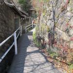 空猫カフェ - 千光寺公園への登り坂