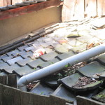 空猫カフェ - 福猫石①