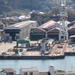 空猫カフェ - 二階からの視点②