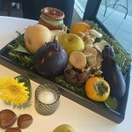 ラ・テラス イリゼ - 