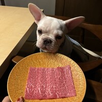 焼肉ぽんが 恵比寿店 - 