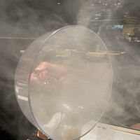 鮨 やまけん 銀座店 - 