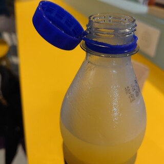 Aire de Frontonnais Nord_1