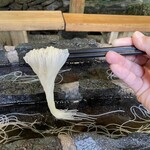 あみだが滝荘 流しそうめん - 