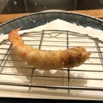 天ぷら料理 さくら - 海老