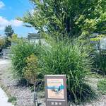 CABOT COVE MUSEUM TERRACE - 