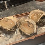 アルギュロス - 