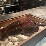 アルギュロス - 