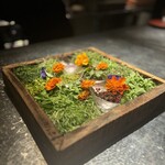 アルギュロス - 