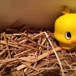 神保町 傳 - 2014.04