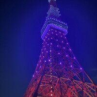 ワカヌイ グリル ダイニング バー 東京 - 