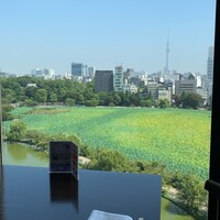 ルーキスガーデン 上野店 - 