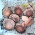 江戸そば マルノ - 購入した原木しいたけ