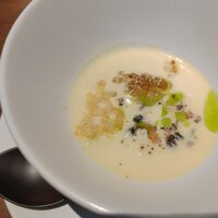 MOTORA  - 