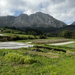 Txispa - 野菜はほとんど全て、こちらの自家菜園のもので賄っているそう。素晴らしい！