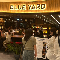 BLUE YARD - 