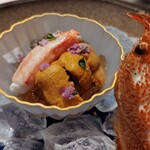 VANKA - 蕃茄の定点観測